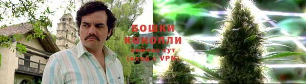 прущие крисы Абаза