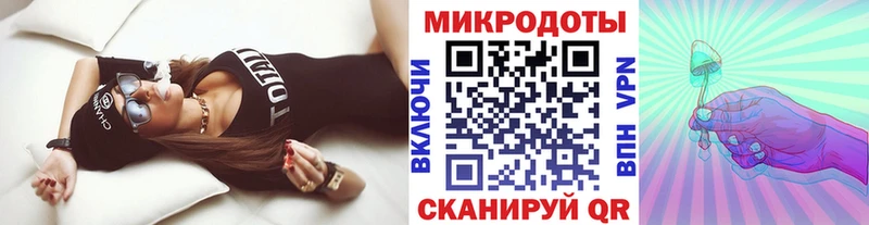 Псилоцибиновые грибы Psilocybe  Элиста 