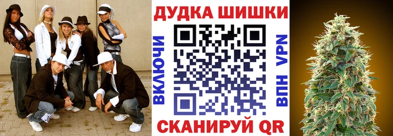 Бошки Шишки план  Элиста 